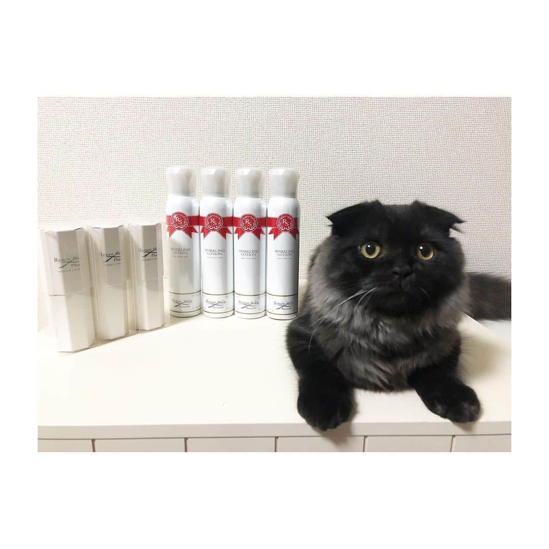 寺内健のインスタグラム：「いつも愛用させてもらっている炭酸化粧水と美容液。冬場の乾燥と肌荒れには不可欠なアイテムです。 @varie_support  #reneesoin #炭酸化粧水 #猫」