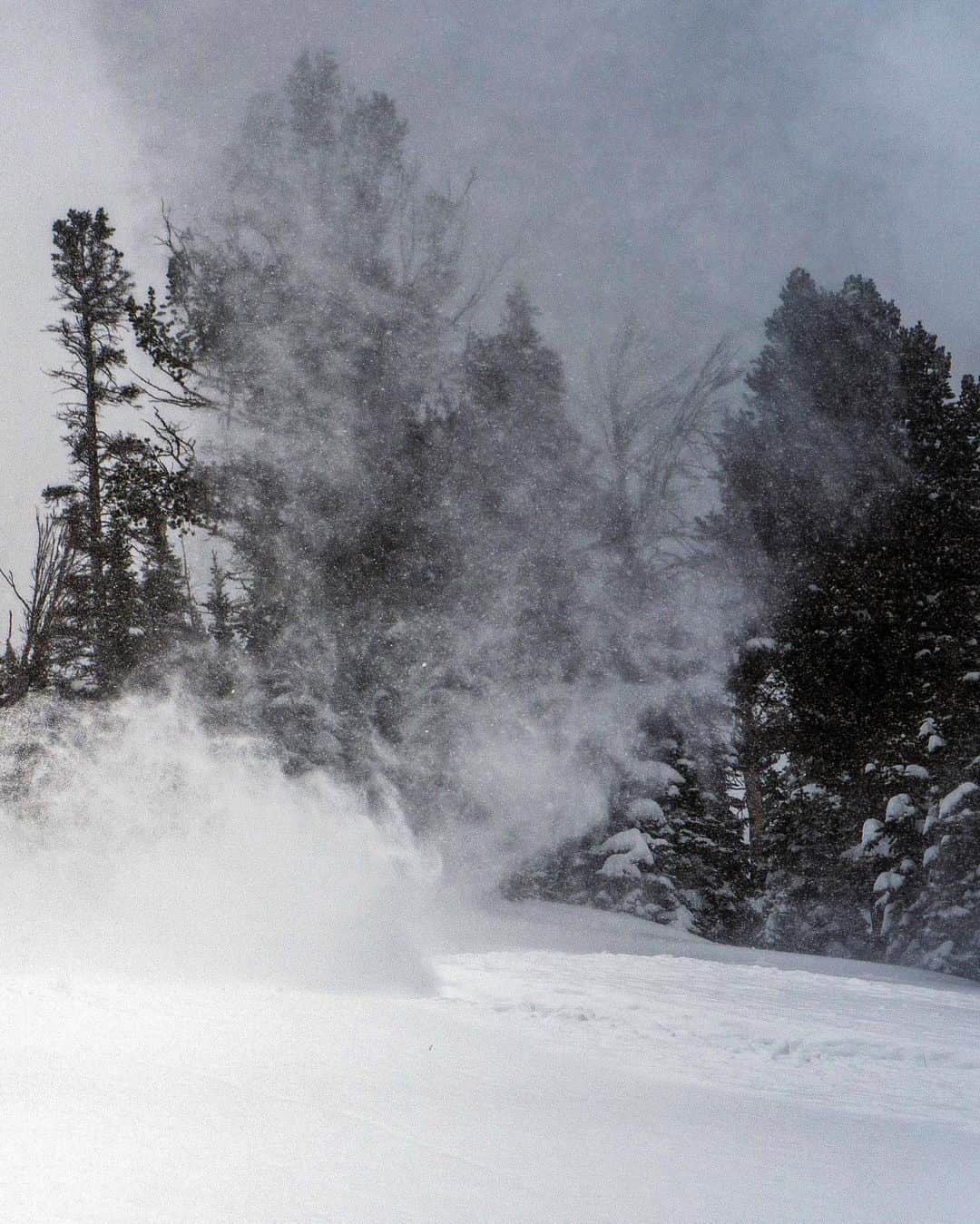 ジミー・チンさんのインスタグラム写真 - (ジミー・チンInstagram)「The only scarf I like to wear. Snow sliding in the Teton vortex.   ❄️❄️❄️❄️❄️❄️❄️❄️  📷 by @chrisfigenshau   @jacksonhole @thenorthface @yeti」1月15日 1時01分 - jimmychin