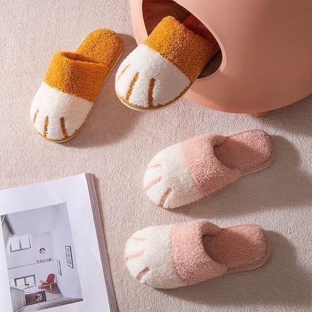 Cute Pets Dogs Catsさんのインスタグラム写真 - (Cute Pets Dogs CatsInstagram)「Love Cat😻? Get these lovely cat items for yourself! (@petpetpal ) 🔥50% OFF TODAY🔥 🌍Shipping Worldwide🌍  Link in Bio @petpetpal GRAB YOURS 👉 @petpetpal BIO  ⚠️Only Few Left⚠️ 🔥Buy now before They Sold Out!🔥 SHOP NOW! 🤗 @petpetpal 😻 Store Link: www.petpetpal.com」1月15日 1時01分 - dailycatclub