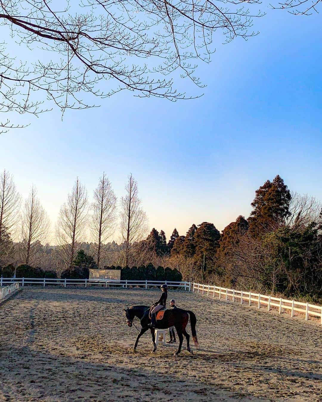 のインスタグラム：「空はいつだってこんなにも高くから 私たちを見守ってくれている  レッスン中はそれに気づくこともなく、 目の前の”今”に集中する。  今流行りの言葉で言うならこれぞまさに全集中の時間。  集中力と忍耐色と精神力この三つのどれか欠けても成立しないのが乗馬  本格的にレッスンを再開してまだ少ししか経ってないけれど 乗馬の奥深さは乗るたびに、ズンって身体と心に浸透する。  早く乗れるようにならなきゃ！の焦りが 出来ない時にブワッと自分に覆い被さって邪魔をしてしまう。  You are what you are.  Don’t compare yourself to others. This is when you lose your confidence.  Everyone is a unique individual.  Trust yourself and your soul.  Namaste🙏🏼   マイペースにゆっくりだけど着実に、slowly but surely…  練習あるのみ😊  乗馬からは本当に色んなことを学ばさせてもらっている 出会えて良かったって心から思えるもの。  皆さんは、自分を成長させてくれるモノ、コト、経験、習慣などはありますか？コメント欄で教えてください。 🐎🌿🙏🏼  #乗馬女子 #乗馬好きな人と繋がりたい #自然と暮らす #優しい気持ち #自分と繋がる #自分と向き合う #居心地の良い空間 #日本の美しい風景 #自然が好きな人と繋がりたい #自然と暮らす #horsebackriding」