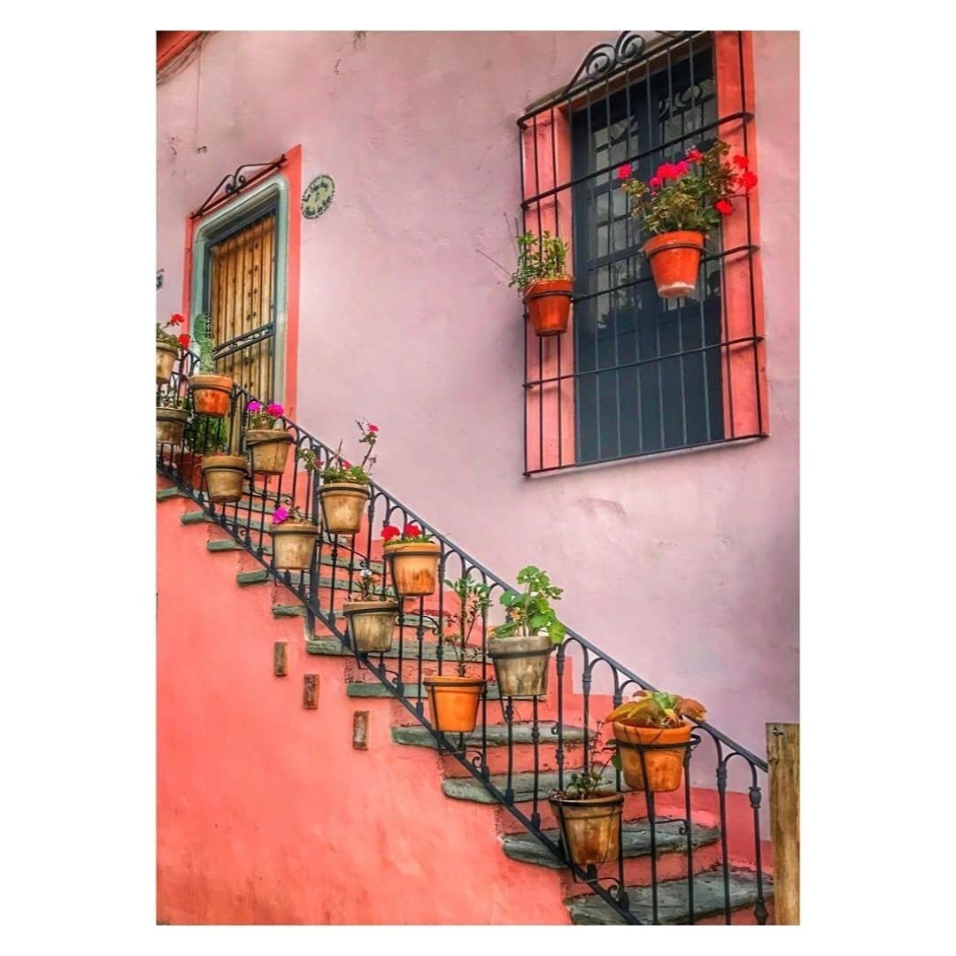 マッタのインスタグラム：「Our homes should make us smile the whole way to our door 💖🌺 ...Inspo for a home sweet home, found image」