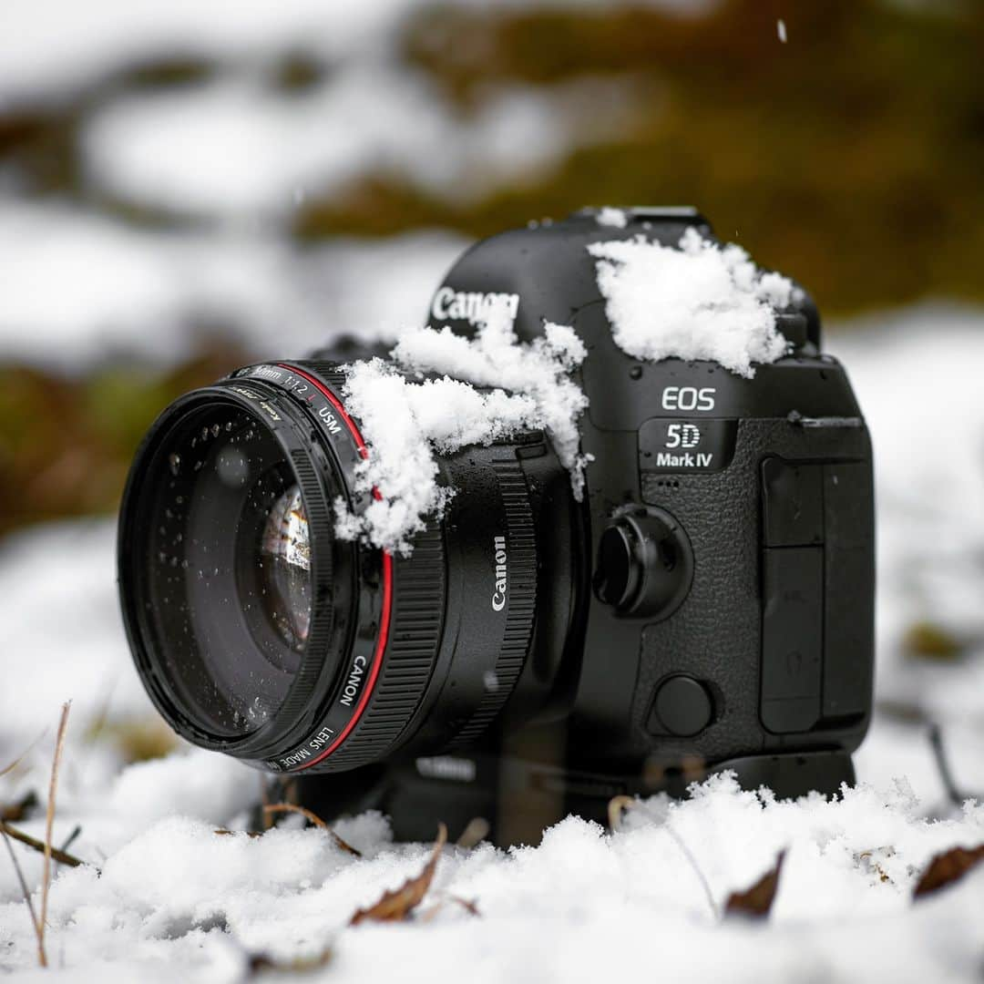 Canon UKさんのインスタグラム写真 - (Canon UKInstagram)「Winter photoshoots are always challenging as you need to ensure you have all of the relevant equipment, while trying to pack lightly. 🎒  What's your go-to equipment for winter photoshoots?  📷 by @mygearphoto」1月15日 1時37分 - canonuk