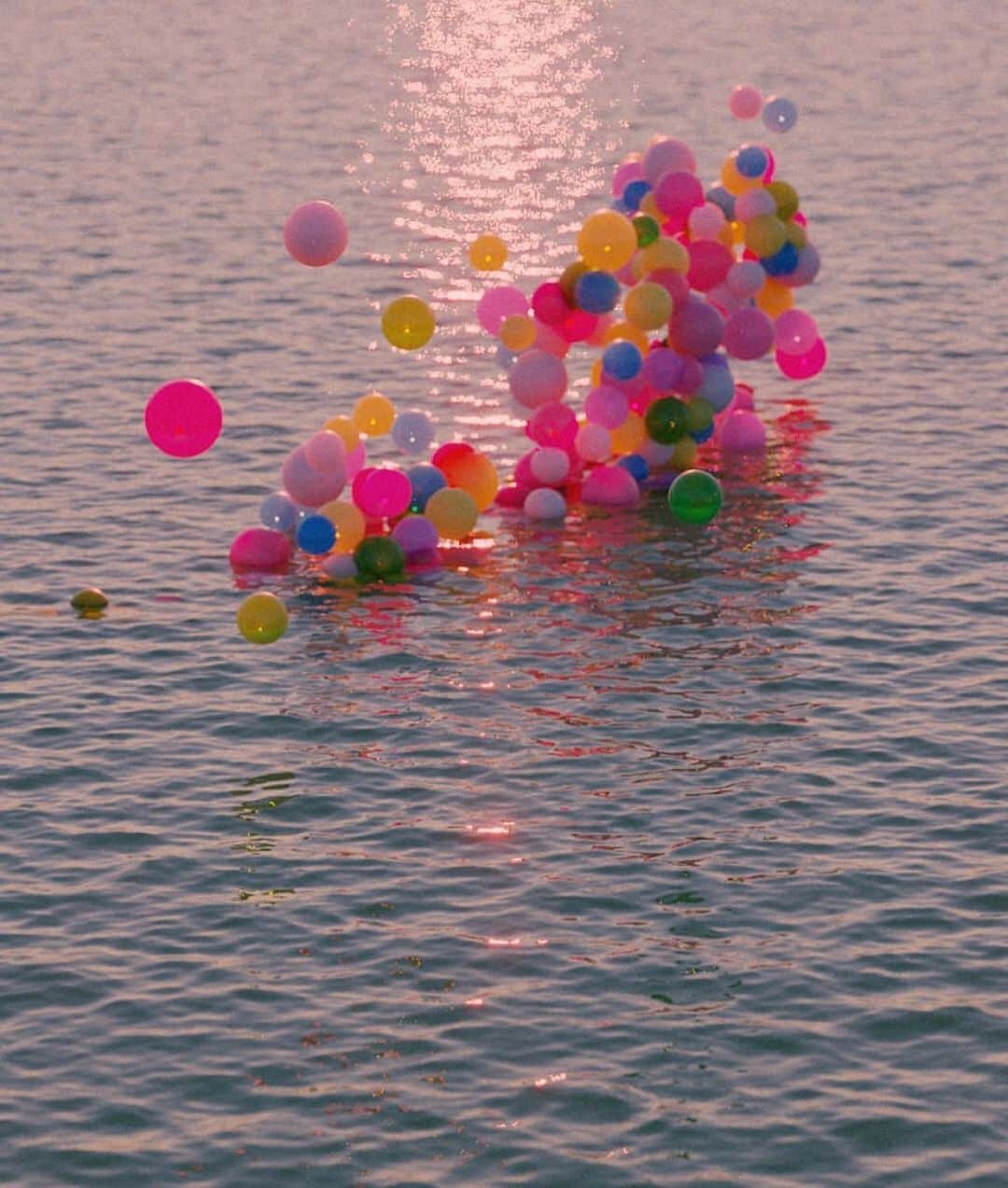 ダニジョーのインスタグラム：「We may be treading water but we’re still able to see the rainbow🎈🌈✨🌊 photo via @dovneon」