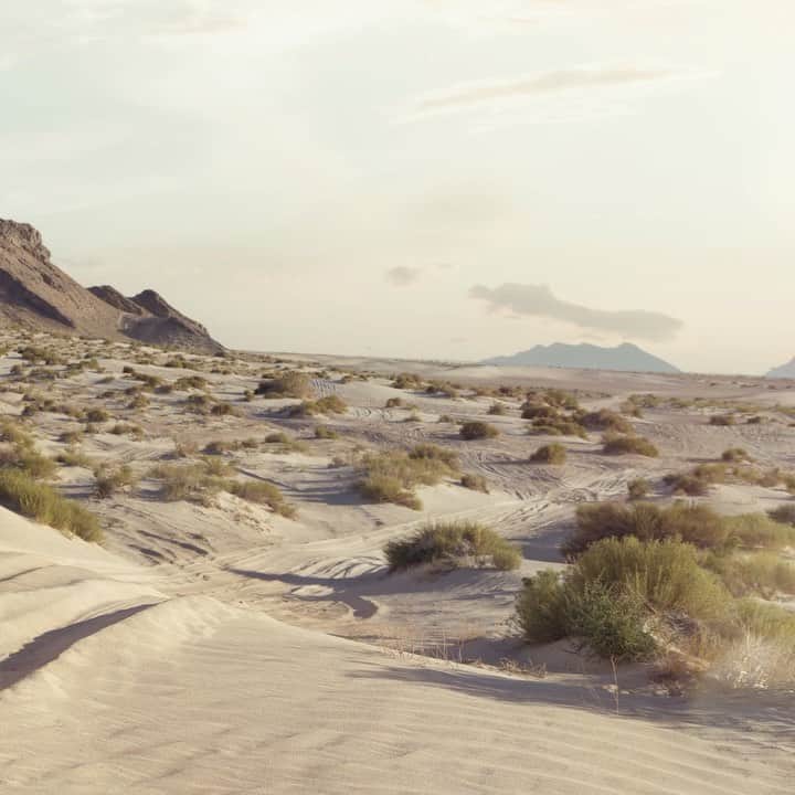 Nissan USA Official Instagram accountのインスタグラム：「Ride and conquer. #NissanRogue2021 #RogueGoneRogue」