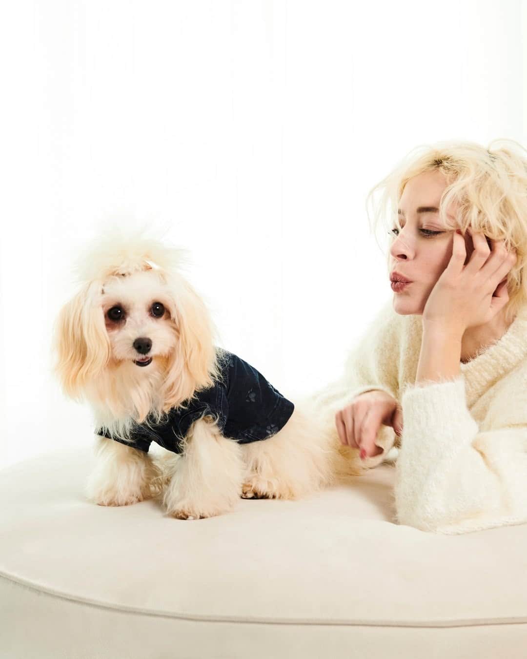 Bloomingdale'sのインスタグラム：「Attn: pet parents—it's #NationalDressUpYourPetDay (not that we needed an excuse!) 🐩 Does your fur baby have their own wardrobe? . . . . . . #DressUpYourPetDay #PetStyle #DogMomLife #DogSweater #Bloomingdales」