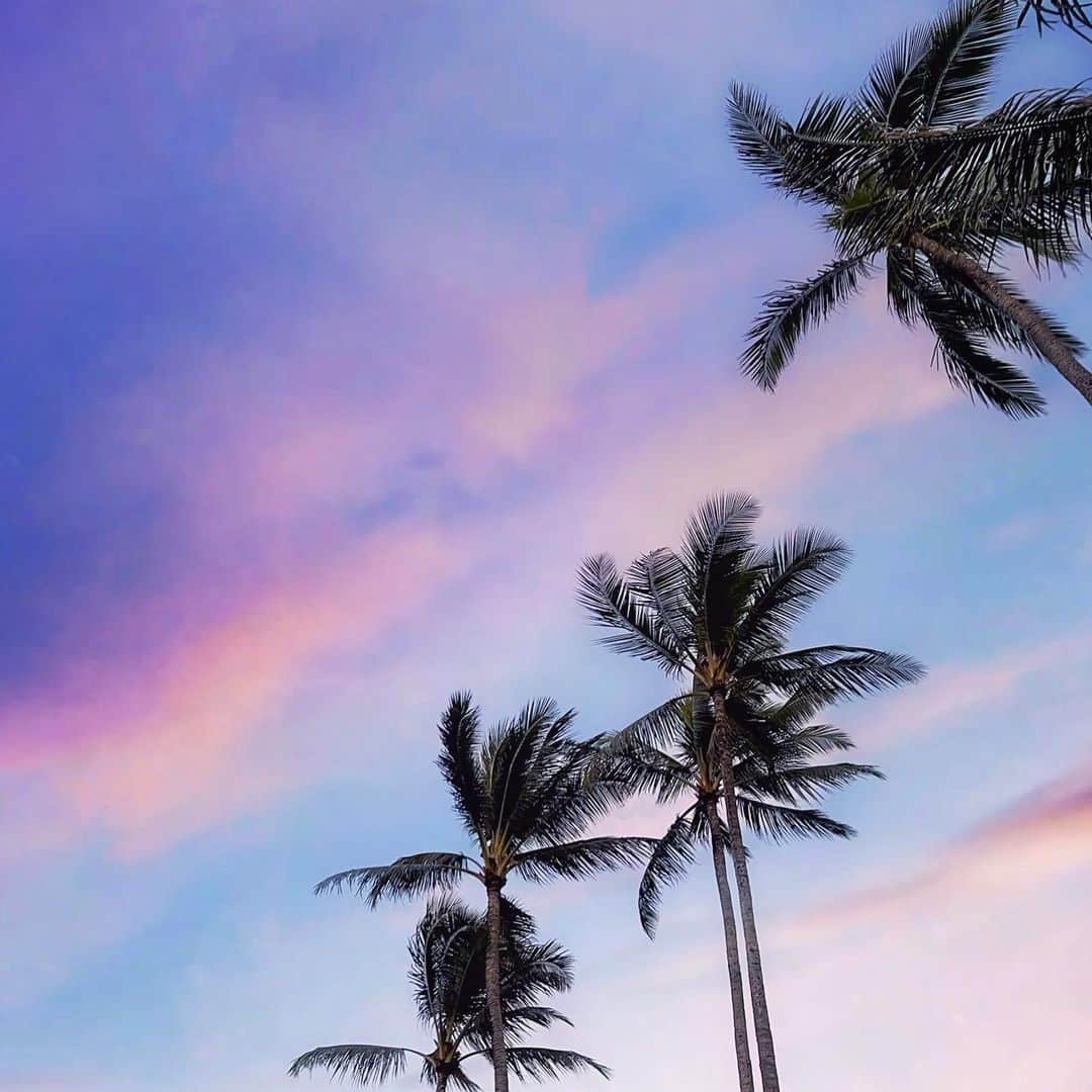 Lanikai Bath and Bodyさんのインスタグラム写真 - (Lanikai Bath and BodyInstagram)「Leave your worries under the palm trees.  #palmtrees #paradise #hawaiilife #kailua #lanikai #noworries #relax #positivevibes #organic #nature #skincare #beauty #havealohawilltravel」1月15日 2時48分 - lanikaibathandbody