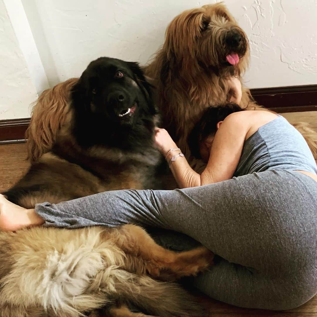 ガブリエル・アンウォーのインスタグラム：「A certain kind of Thursday #harry&paloma @shareefmalnik」