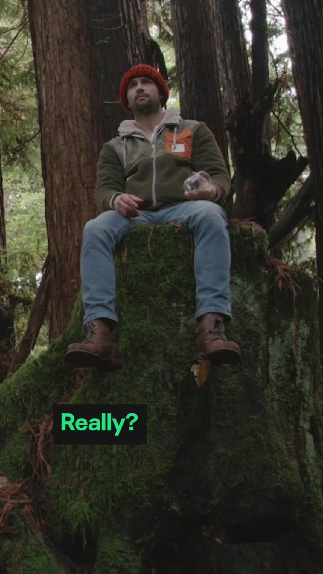 ジェームズ・ラファティのインスタグラム：「Figuring it all out with @everyoneisdoinggreat. All episodes available now, only on @Hulu 🌲🌲🌲」