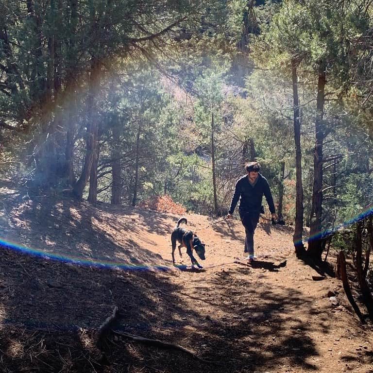 ジャック・ファライーのインスタグラム：「Banjo and I entering a magic portal, where do you think it leads」