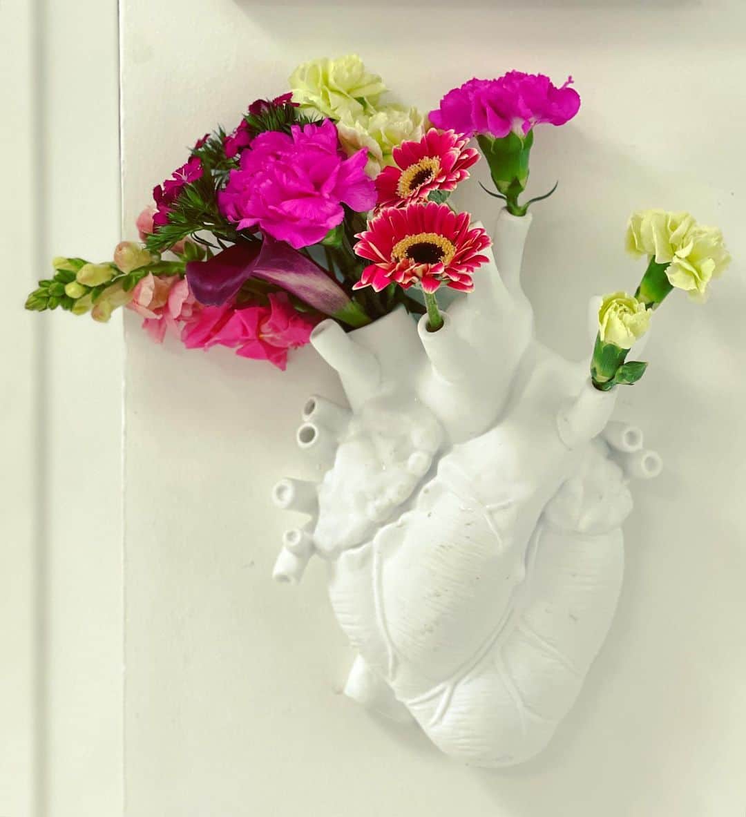 のインスタグラム：「todo coração é um jardim; e é você que escolhe o que vai plantar... 💐🌻🌹🌺🌾」