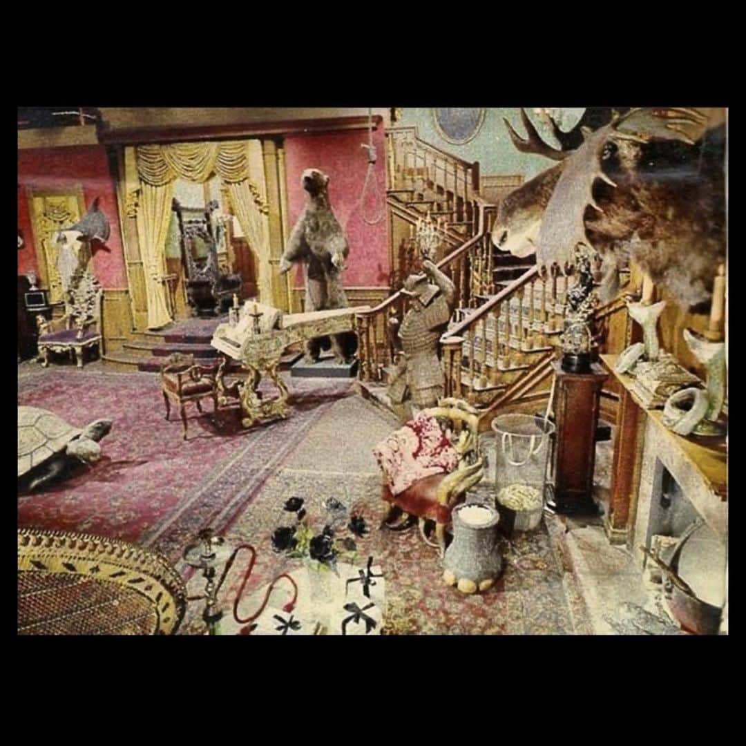 デイジー・ロウのインスタグラム：「The Addams Family set in Colour (thank you for brightening my day by posting this @by_alice_home ) 💖」