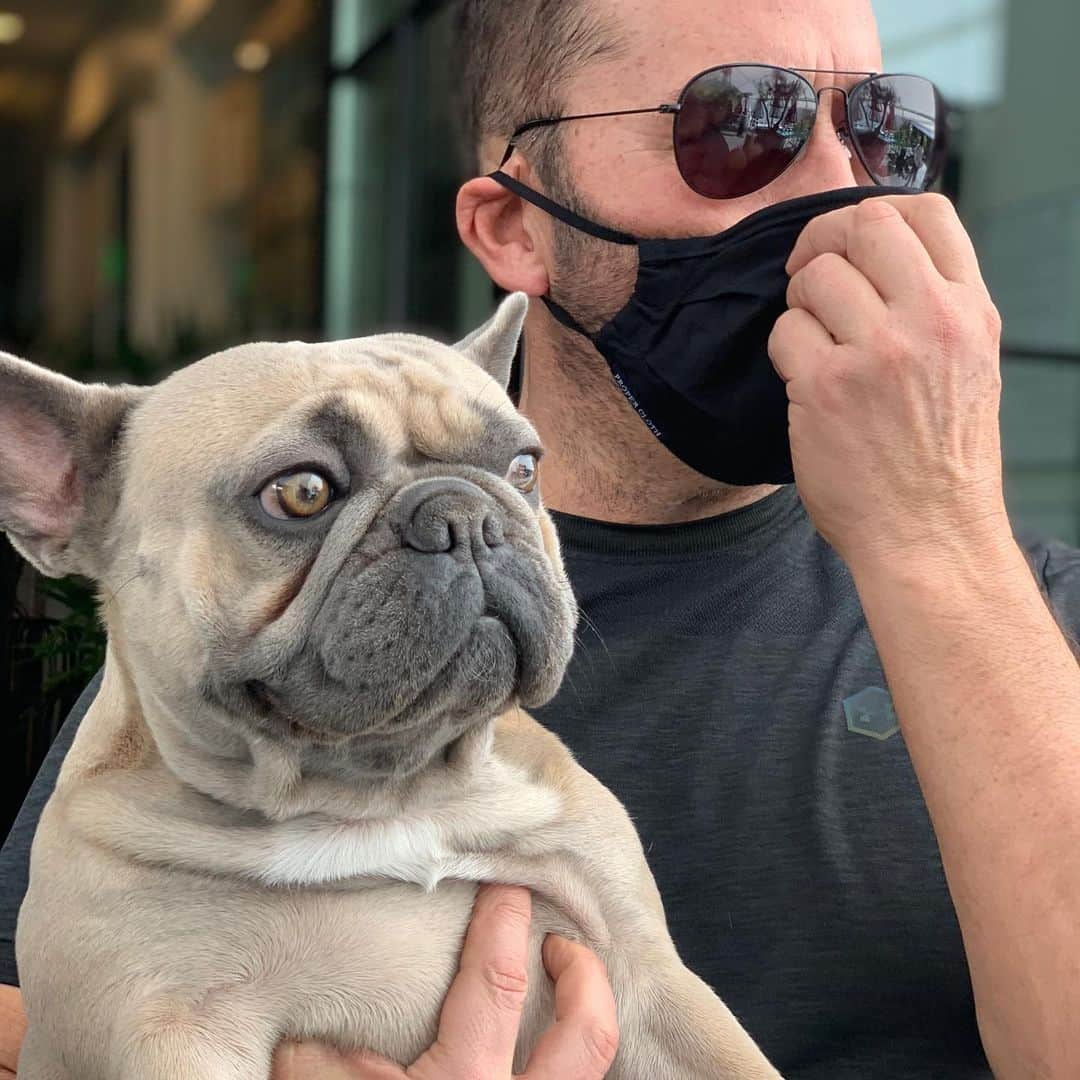 ジェレミー・ピヴェンのインスタグラム：「If you don’t have a beautiful built-in mask strap one on! Thanks @dogpound for the work ! #frenchbulldog」