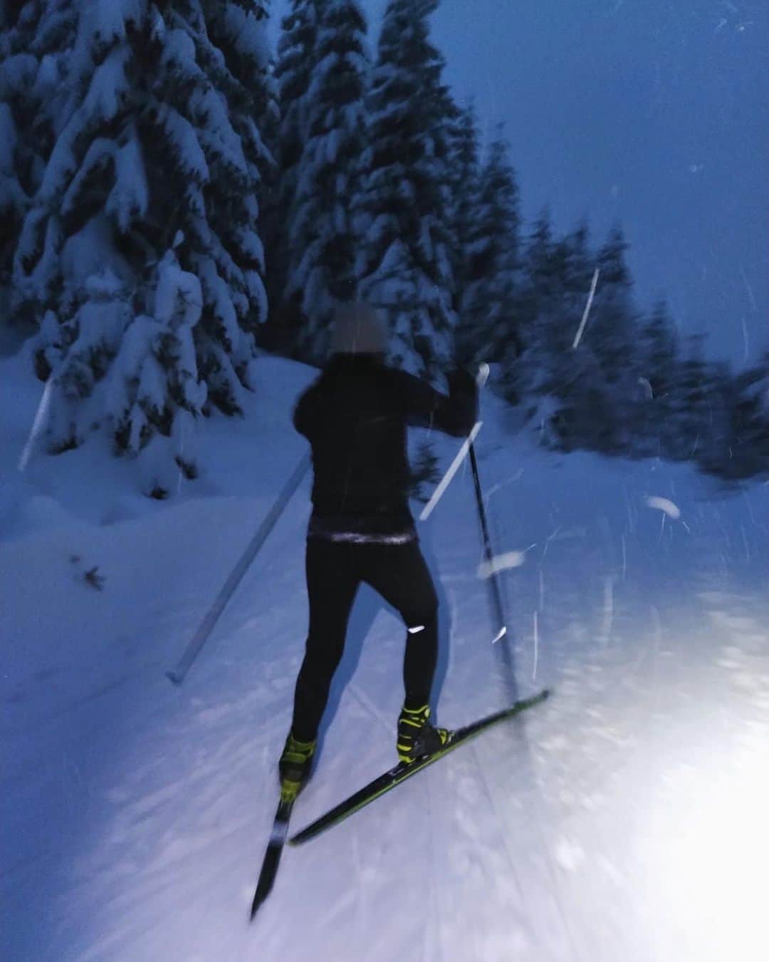 八木愛莉さんのインスタグラム写真 - (八木愛莉Instagram)「Evening cross country ski 🎿 ﻿ ﻿ 初めての夜クロスカントリー。﻿ 暗いと実際より速く感じて上手になった気分。﻿ ﻿ #crosscountryskiing#mountain#snow#trainingcamp#skilife#winterprep#wintertraining#クロスカントリースキー#2年ぶり#いつもへっぴり腰#かっこよく滑りたい#冬トレ」1月15日 5時55分 - airi.yagi