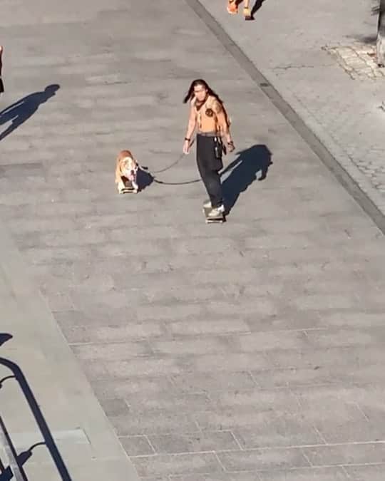 ショーン・ホワイトのインスタグラム：「Check out this guy and his dog .... thx for this @soberfitvegansuz @bulldogskater」