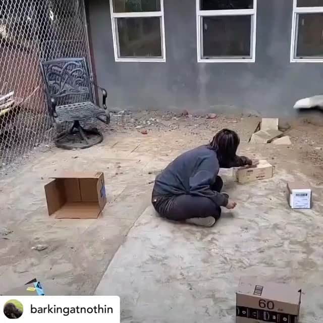 Rylaiのインスタグラム