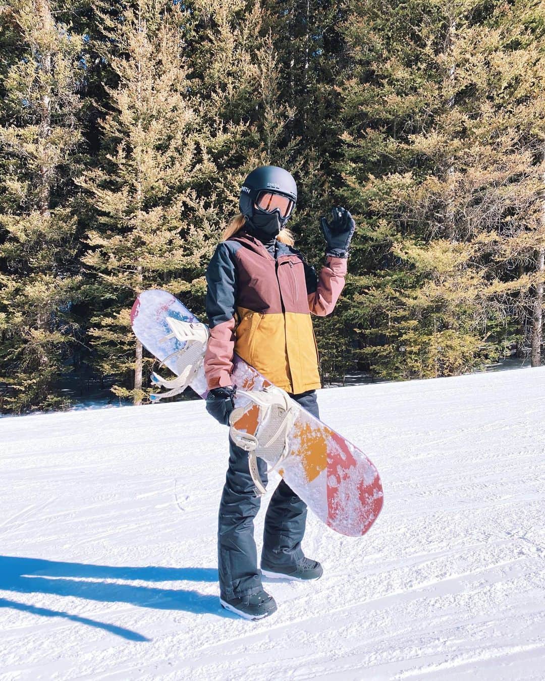 ブレッヒェ・ハイネンのインスタグラム：「❄️🏂」