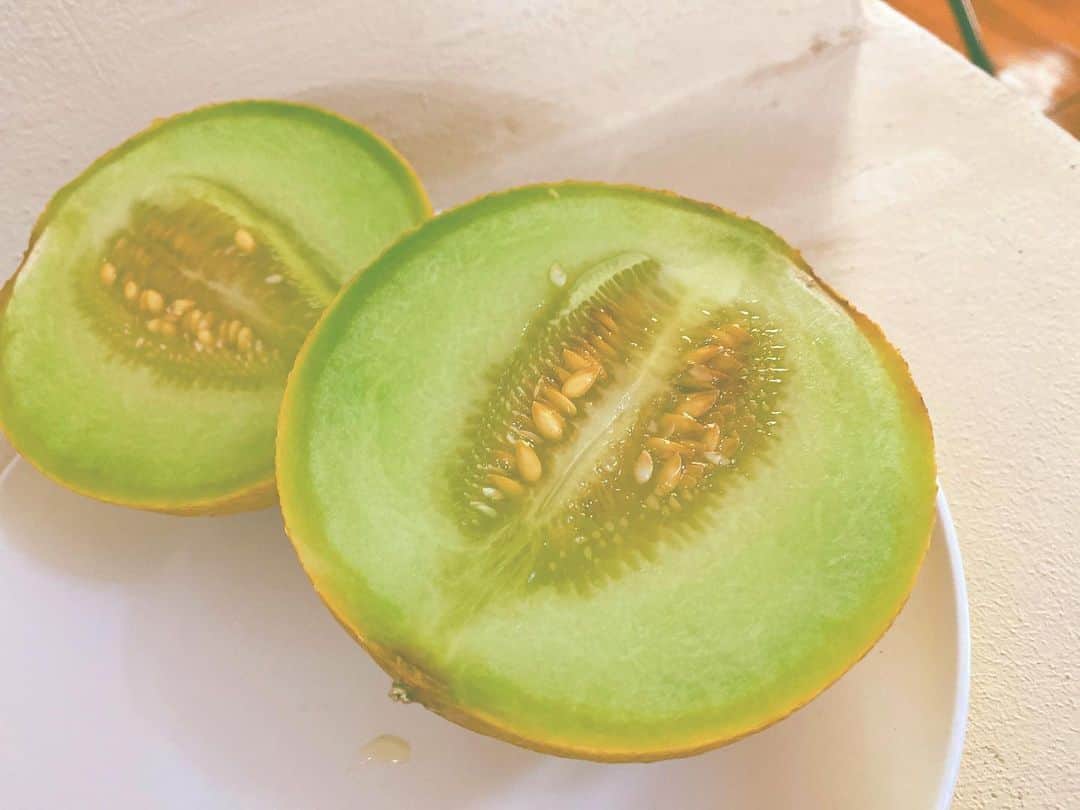 まんまるとまとのグルメインスタ