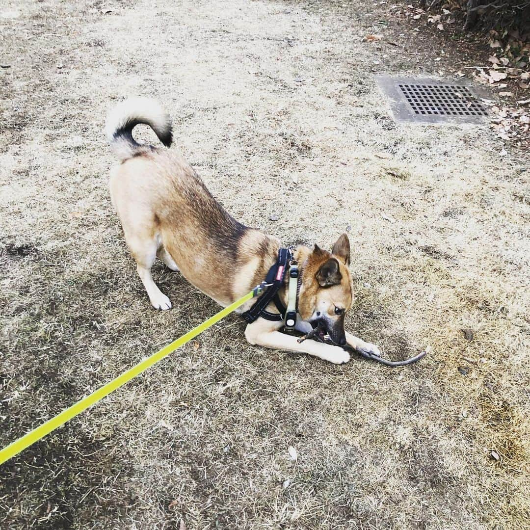 佐々木海のインスタグラム