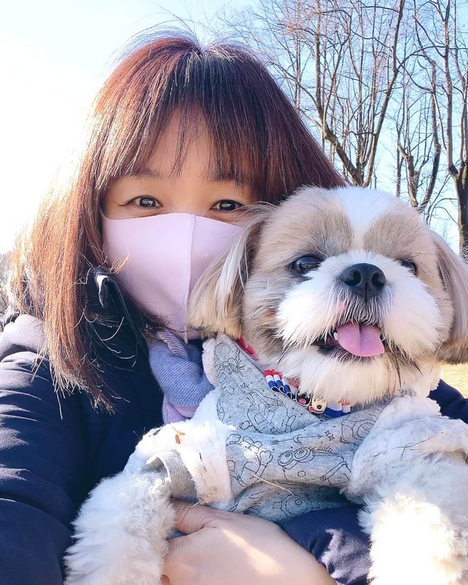 倉田雅世のインスタグラム：「おはようございます。 金曜日。1月も折り返し。 今日は寒いですね。 明日から大学入学共通テストだそうですね。#がんばれ受験生🌸  わんこもひとも、応援しております。 #いぬすたぐらむ #いぬのいる暮らし」