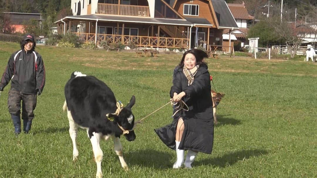 渕上沙紀さんのインスタグラム写真 - (渕上沙紀Instagram)「自分の写真見て爆笑したのは初めてかもしれない😂😂 レモンチダンス動画のロケにて。 この後牛さんは私のもとから逃げていきました。 レモンチダンスカップ開催中💃 皆さんぜひ参加してね⭐️⭐️ #イマナマ #レモナルドレモンチ #レモンチダンス」1月15日 19時20分 - saki_fuchigami