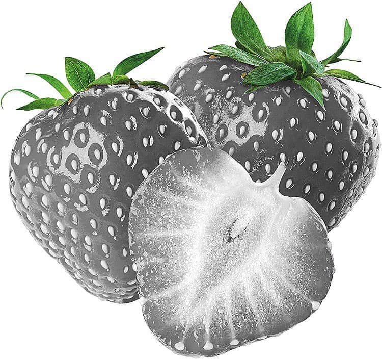 スカイラー・グレイのインスタグラム：「If I was a strawberry...」