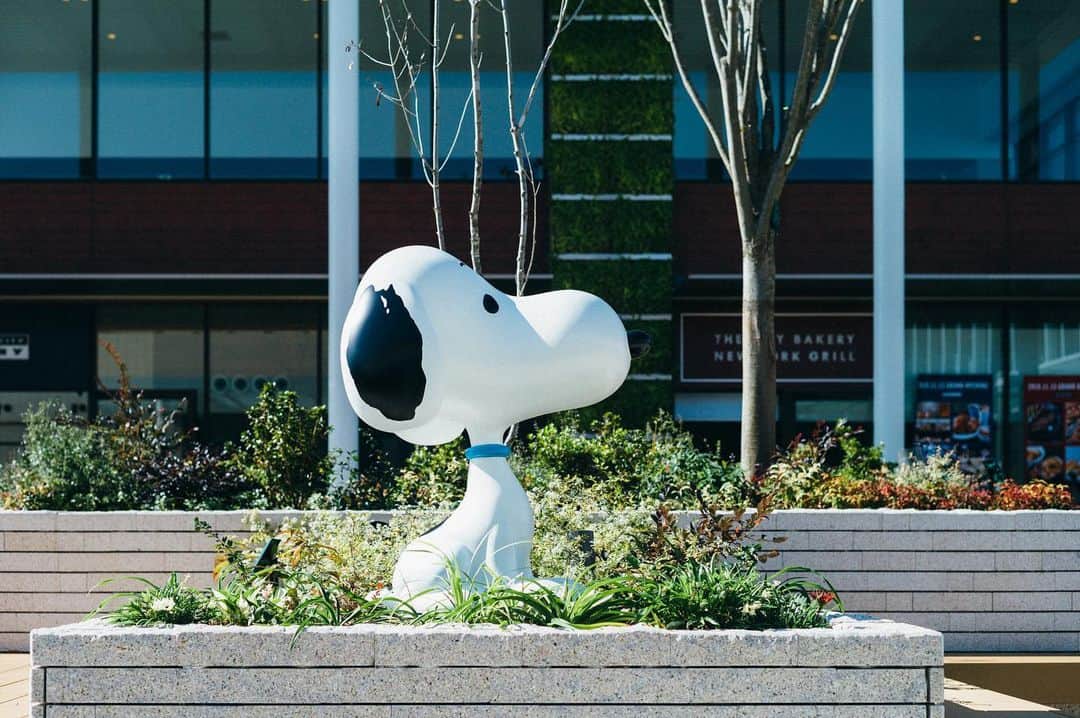 SNOOPY MUSEUM TOKYOのインスタグラム：「#snoopymuseumtokyo #schulzmuseum #snoopy #スヌーピーミュージアム #スヌーピー」