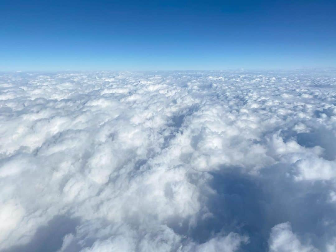 川島海荷さんのインスタグラム写真 - (川島海荷Instagram)「☁️☁️ 飛び込んでみたい🥺」1月15日 18時40分 - umika_kawashima