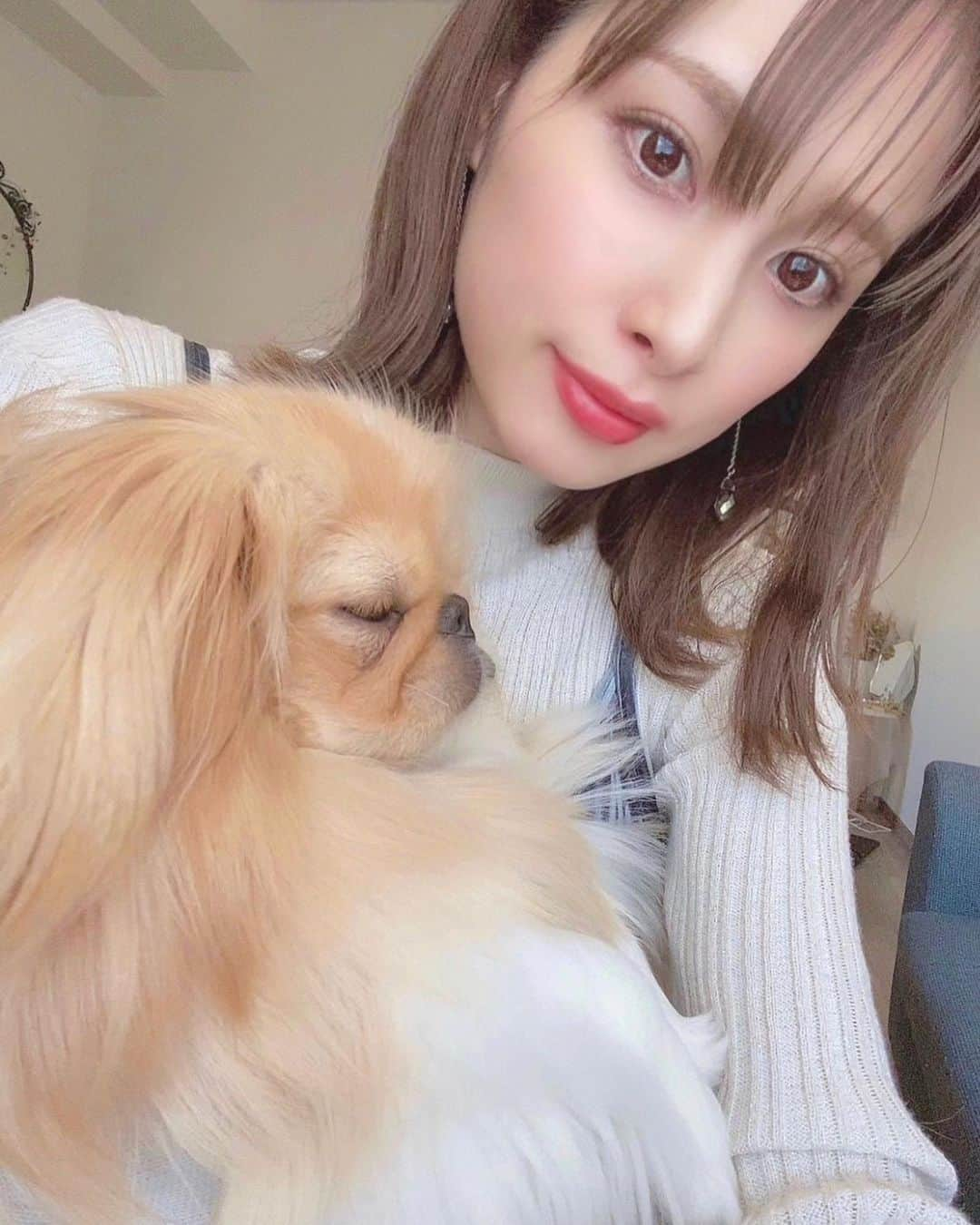 ハミ さんのインスタグラム写真 - (ハミ Instagram)「▽ ふて寝🐶💤💕  コロちゃんは表情が豊かで面白い😂  最近ホットヨーグルトにハマってます🐮✨ ヨーグルトを温めるだけなんだけど、食べる様になってからお通じが劇的に改善🙌（個人の感想です🙋‍♀️）  妊娠前から便秘がちだった私は妊娠してから更にダメに、、😵 でもマッサージは出来ないし、薬も産婦人科で出してもらってるのは私にはあまり効かなくて、 困ってる時に試してみたホットヨーグルトが大当たりでした😭✨  人によって合う合わないがあると思うけど、お通じで悩んでる方は試してみる価値ありだと思います👍  作り方はヨーグルトをレンジで40℃位まで温めるだけ。 50℃以上になると菌が死んじゃうからだめなんだって💡 無糖のヨーグルトを温めて、ハチミツかけて食べてます🍯💕  #腸活 #妊娠6ヶ月 #マイナートラブル#🐮」1月15日 18時47分 - hami0519