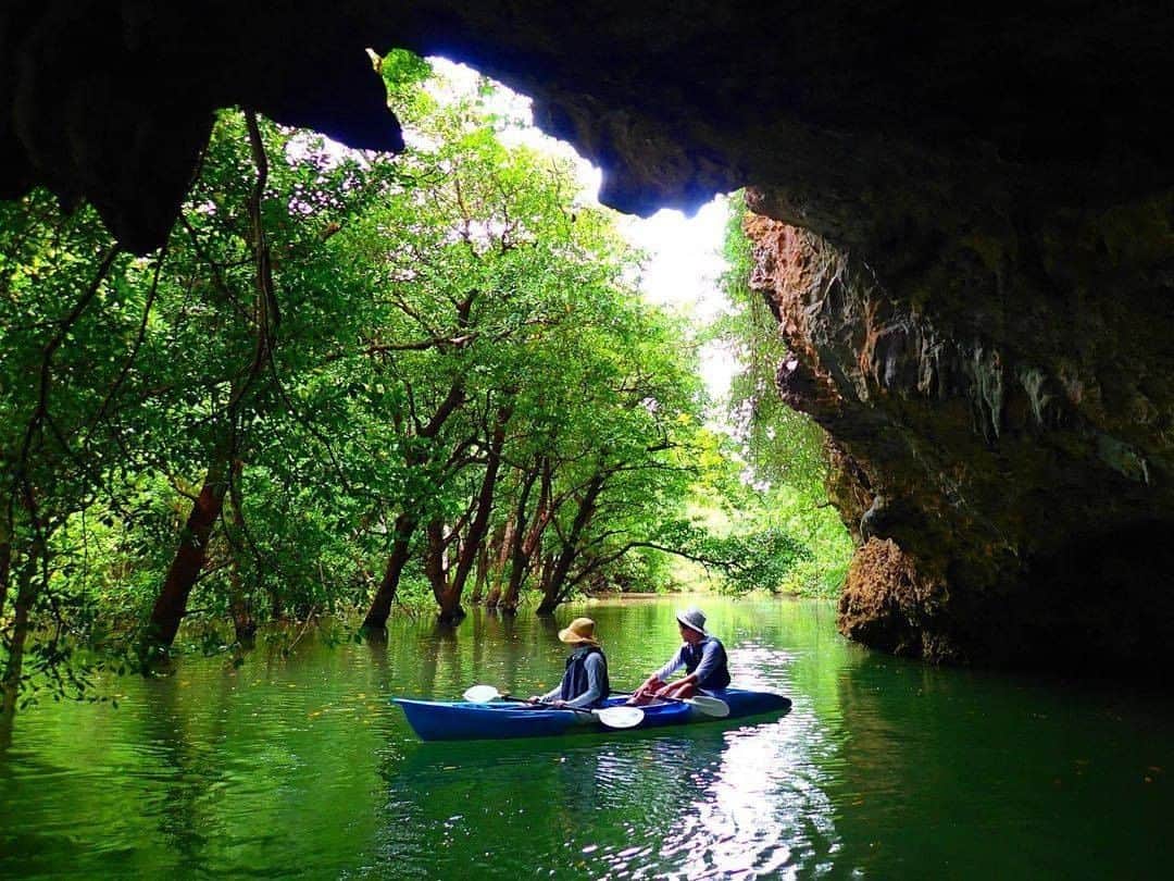 Be.okinawaのインスタグラム：「How fun to paddle through nature’s tunnel! It’s like being in a movie scene!  📍: Miyara River / Ishigaki Island 📷: @ishigakipipi Thank you very much for your wonderful photo!  You’ll encounter precious wildlife when you kayak among the vast mangrove forest. Besides mangrove tours, plenty of other activities are available. Would you like to join one?  Hold on a little bit longer until the day we can welcome you! Experience the charm of Okinawa at home for now! #okinawaathome  Tag your own photos from your past memories in Okinawa with #visitokinawa / #beokinawa to give us permission to repost!  #ishigakiislands #yaeyamaislands #miyarariver #石垣島 #八重山群島 #宮良川 #야에야마제도 #이시가키섬 #adventure #japan #travelgram #instatravel #okinawa #doyoutravel #japan_of_insta #passportready #japantrip #traveldestination #okinawajapan #okinawatrip #沖縄 #沖繩 #오키나와 #旅行 #여행 #打卡 #여행스타그램」