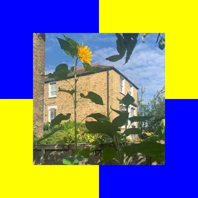 Block.fmのインスタグラム：「Ross From Friends、新曲「Burner」をリリース #bfmstaffpick」