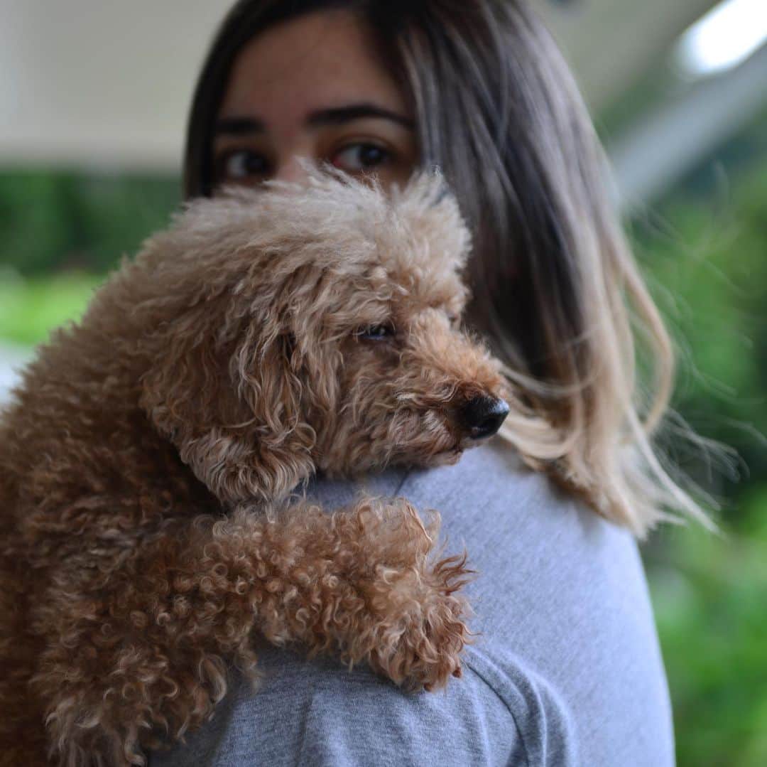 ローレン・ヤングさんのインスタグラム写真 - (ローレン・ヤングInstagram)「Morning cuddles   shot by @jenriel_ during our stay in Subic Bay」1月15日 10時29分 - lo_young