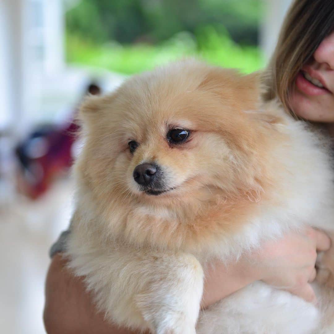 ローレン・ヤングのインスタグラム：「Morning cuddles   shot by @jenriel_ during our stay in Subic Bay」