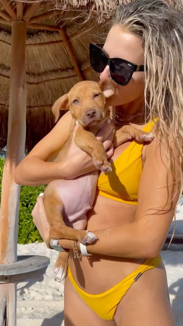 Lindsay Brewerのインスタグラム：「Tulum, you were magic🌴✨」