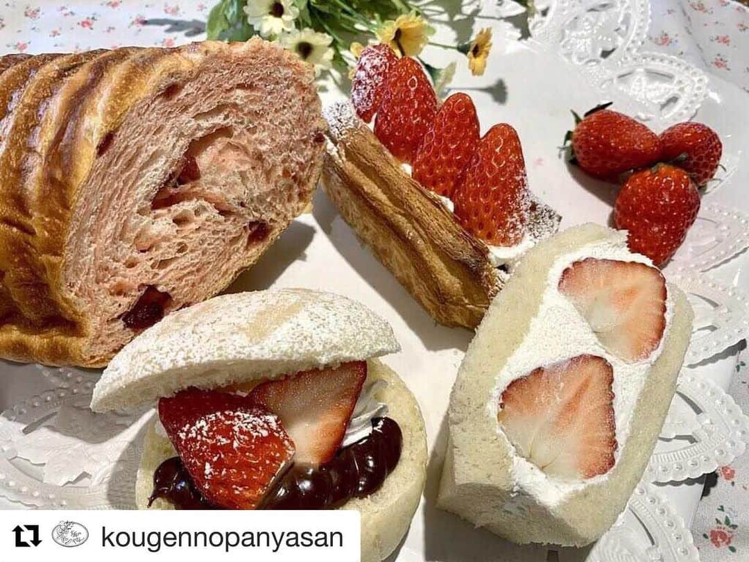 飯沼誠司のインスタグラム：「絶対美味いやつだ😋 🍓🍓🍓🍞🥯  #Repost @kougennopanyasan with @get_repost ・・・ 本日1月15日はいちごの日🍓 高原のパンやさんではいちごフェアを開催中！！ いちごを使った新商品を揃えてご来店お待ちしております。  #高原のパンやさん　#佐久 #小海 #パン #イチゴの日 #スイーツ #いちご」