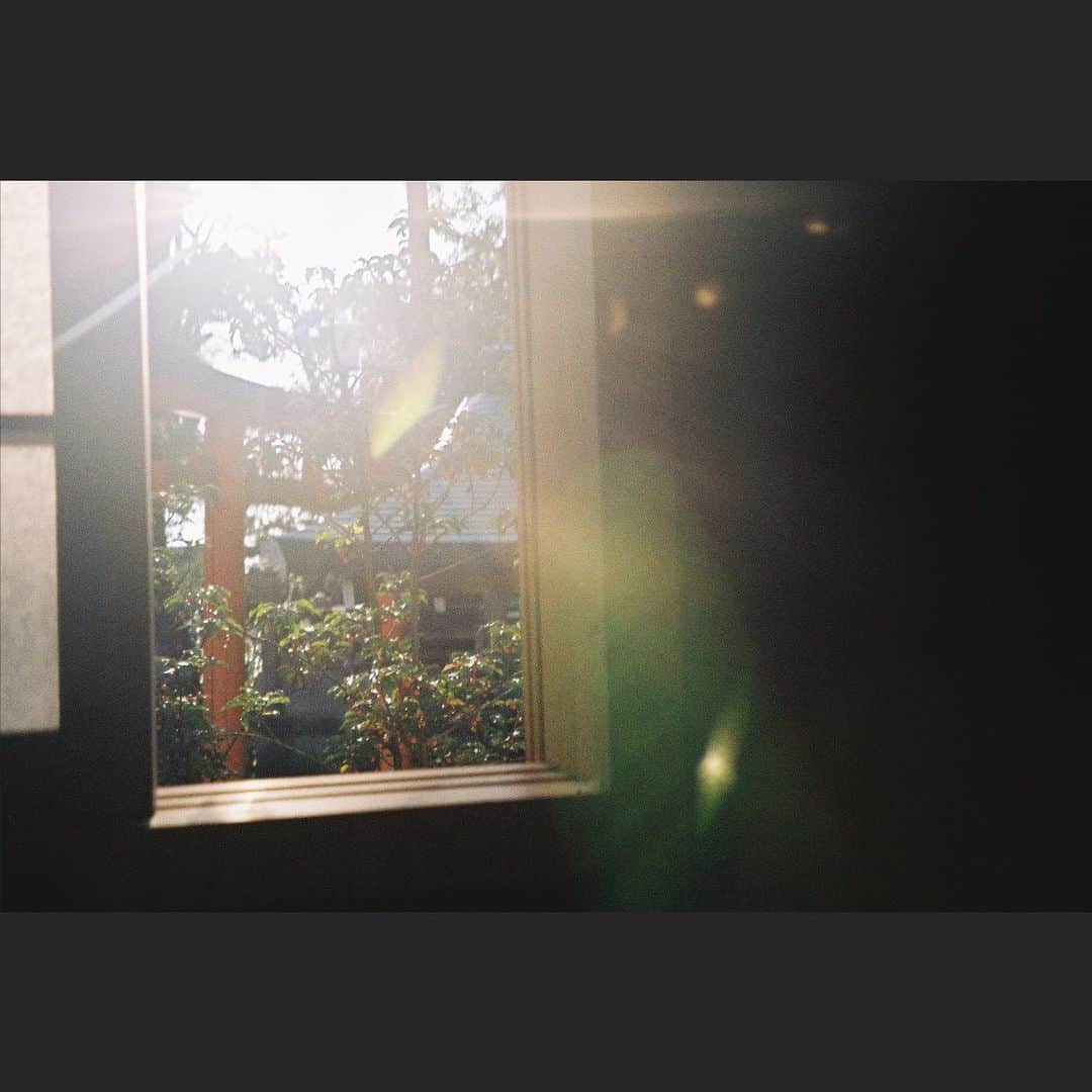 谷中唯彩さんのインスタグラム写真 - (谷中唯彩Instagram)「フィルム現像してきた☺️ 人を撮るのも好きだし、景色だったり、ちょっとした感動をおさめられるのいいね😊👍  ちょこちょこ上げていくね🥺  #フィルムカメラ #フィルム #無加工 #鳥居 #film #filmphotography #photography #사진 #카메라」1月15日 11時46分 - yuisa_erg