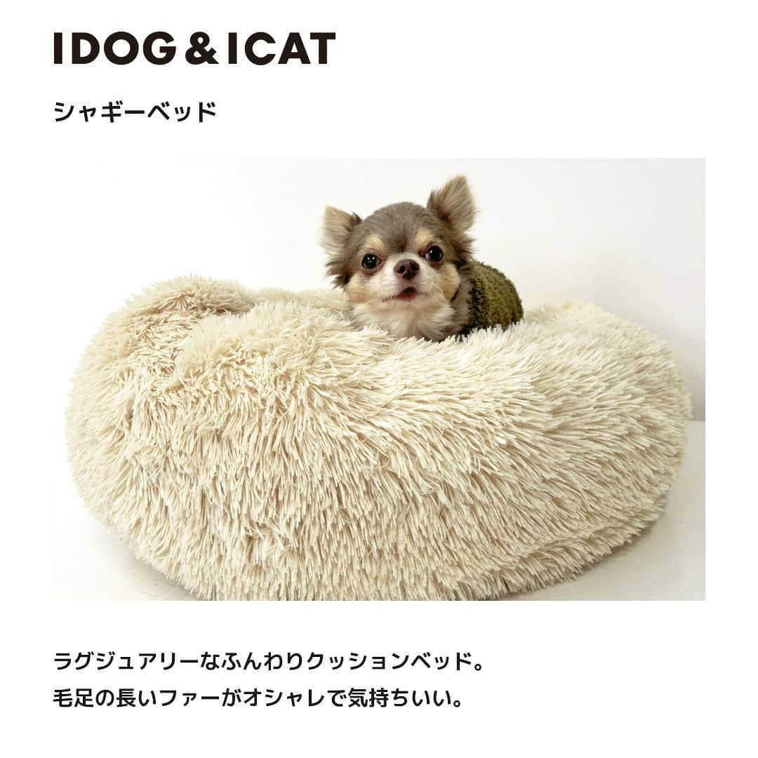 iDog&iCatのインスタグラム