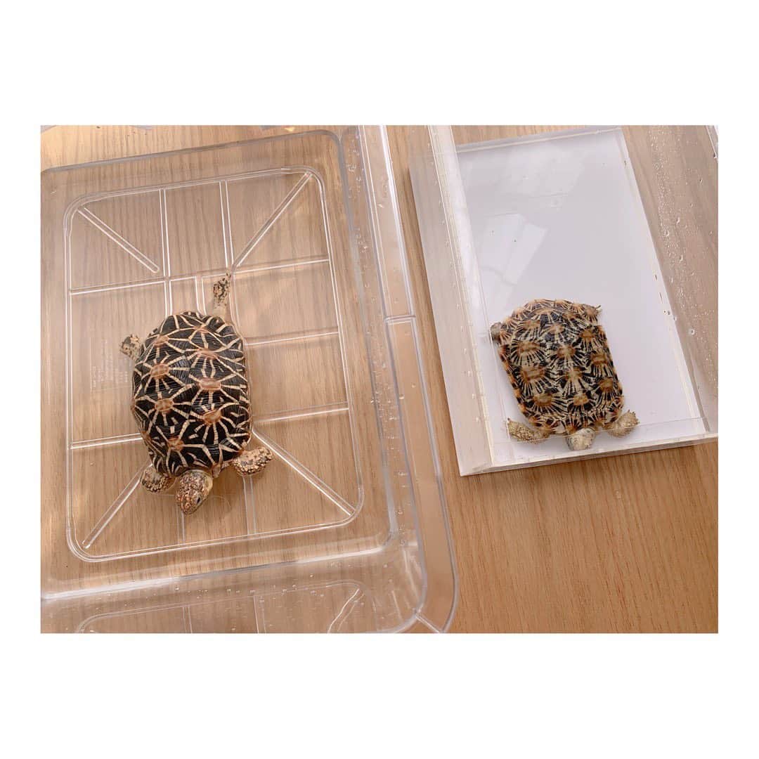高松雪乃のインスタグラム