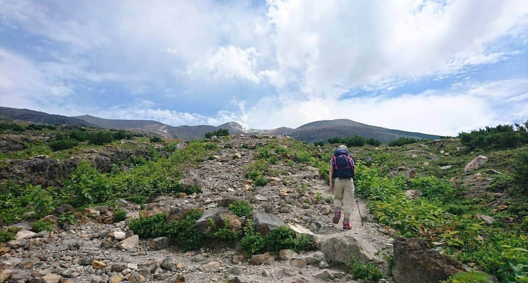 桜花さんのインスタグラム写真 - (桜花Instagram)「こんにちはでございマウンテン🗻🍀  こちらは以前訪れた、夏・北海道の十勝岳🌷  写真は望岳台から、 歩き始めて少したったところです✨ 仲良しのもえちゃんです🐱  広くて広くて、大自然過ぎて。でっかいどう！って何度も叫びました🍀  またいきたいです(^^)🌷 その日まで知識をためるぞ✨   #おはよう  #こんにちは #北海道  #十勝岳 #山  #山歩き  #mountain #mountains  #壮大 #山が好き  #mountainwithpk #北海道の山写真  #夏」1月15日 13時00分 - mountainohka