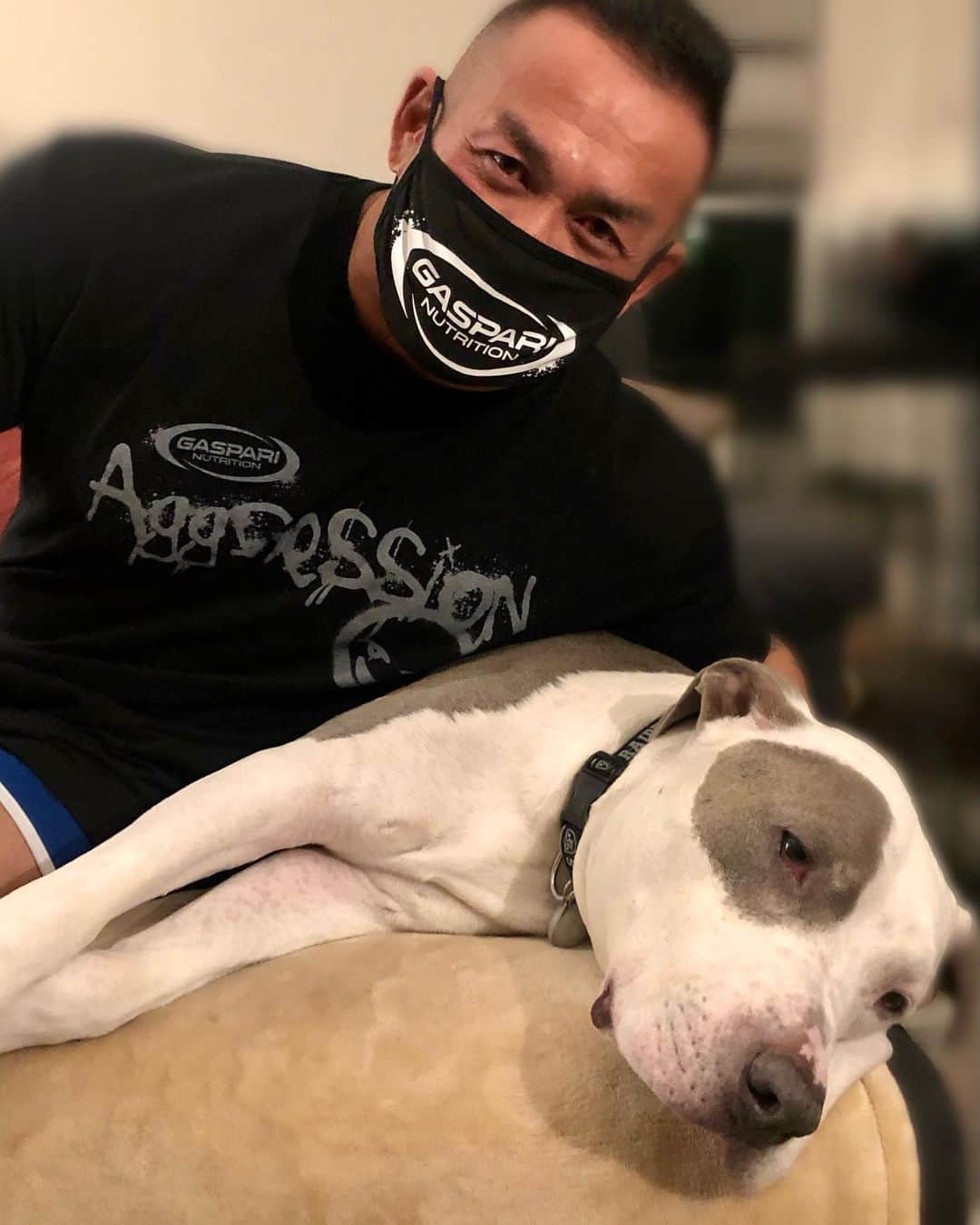 のインスタグラム：「@bodicafe 大好評につき$200以上ご注文ギャスパリアグレッションTシャツ、$100以上ご注文ギャスパリマスクプレゼント継続！無くなり次第終了今すぐオーダー👉 bodicafe.com」