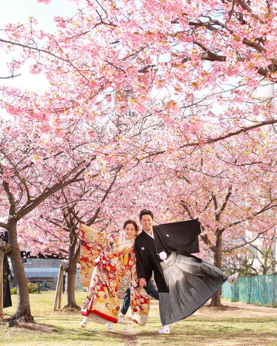 スタジオアクア浅草店さんのインスタグラム写真 - (スタジオアクア浅草店Instagram)「＊ 今年も桜の時期がやってきますね🌸 河津桜はソメイヨシノよりも ピンク色なので、とても人気です✨ 本格的な桜シーズンよりも早く開花するので、 一足早く桜気分を味わえますよ🥺！ ・ ・ とても人気なので、ご予約はお早めに🥺✨ . ＊ Photographer 📷 @chinami_tsuji.aqua  Hair&make 💄 @momoka_hm.aqua  - - - - - - - - - - - - - - - - - - - - - - -⠀ デコルテフォトグループ公式アカウント⠀ 👉 @decollte_weddingphoto decollte_weddingphoto⠀ - - - - - - - - - - - - - - - - - - - - - - -⠀ 🤵🏻オンライン相談会ご予約受付中👰🏻⠀ スタジオAQUAのスタッフにオンライン相談が出来るようになりました。⠀ 希望の日時を予約するだけでOK！⠀ オンライン限定の特典もございます。ぜひお気軽にご利用くださいませ！⠀ ⠀ #wedding #bridal﻿⠀ #weddingphoto﻿⠀ #ウェディング﻿⠀ #ブライダル﻿⠀ #ブライダルフェア﻿⠀ #ウェディングフォト﻿ ＃河津桜 #桜 #和装前撮り  #結婚式#結婚写真﻿⠀ #前撮り#後撮り﻿⠀ #撮る結婚式﻿⠀ #家族撮影 #結婚式準備⠀ #2021春婚 #2021夏婚  #プレ花嫁#卒花嫁﻿⠀ #ウェディングドレス﻿⠀ #ヘアメイク﻿⠀ #日本中の花嫁さんと繋がりたい﻿⠀ #日本中のプレ花嫁さんと繋がりたい」1月15日 13時06分 - studioaqua_asakusa