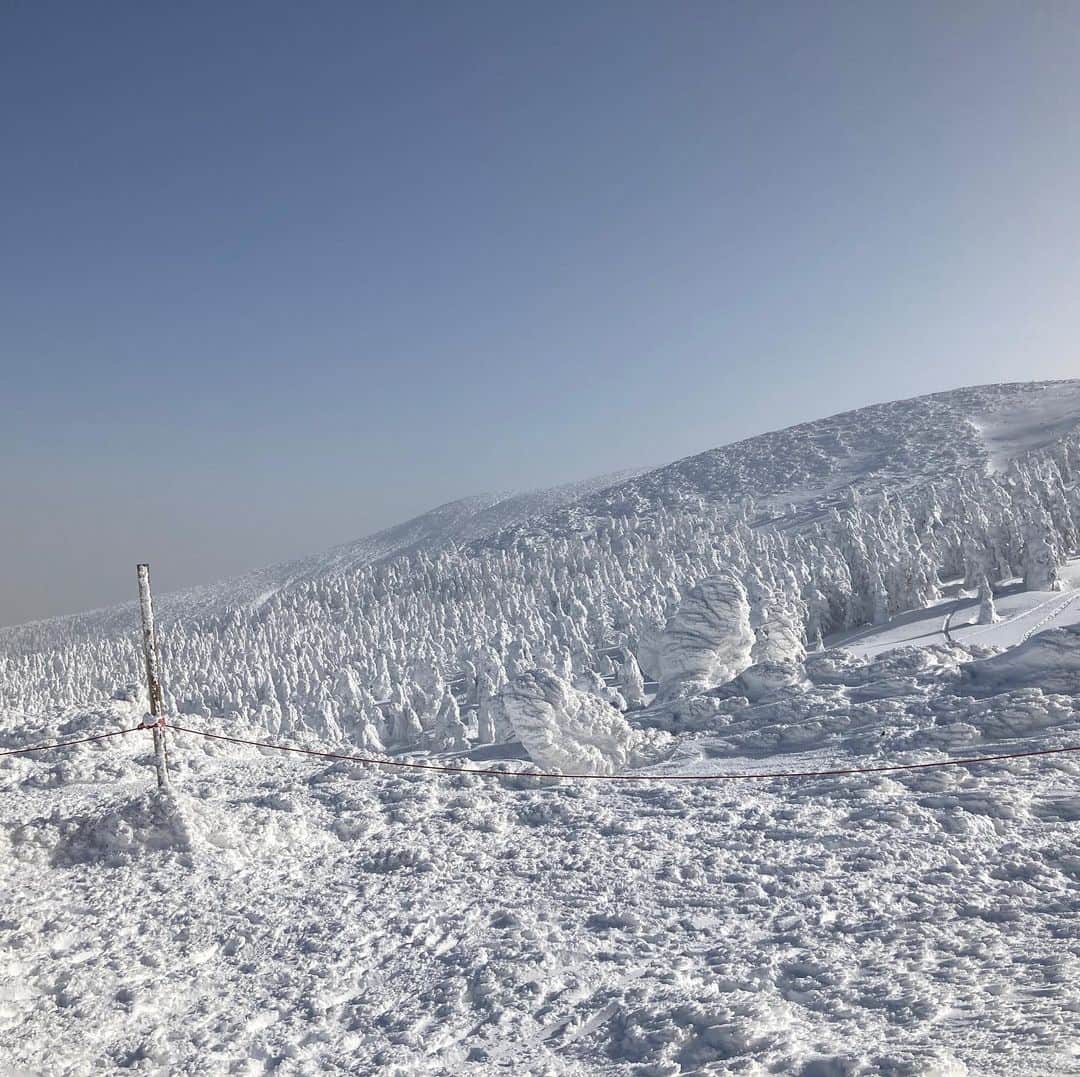 本坊元児のグルメインスタ