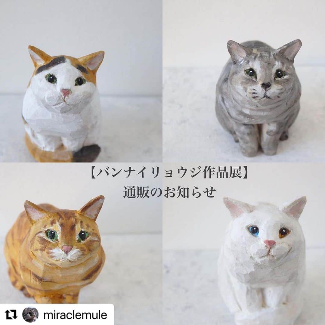 yamanekoさんのインスタグラム写真 - (yamanekoInstagram)「明日から通販開始です！ 何卒宜しくお願い致します。 こちらからにゃー @weekendbooks  @miraclemule」1月15日 13時32分 - yamaneko5656