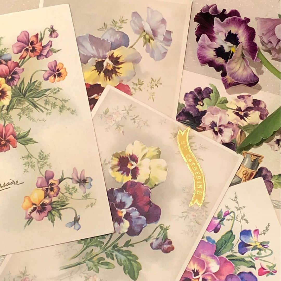 稚野鳥子さんのインスタグラム写真 - (稚野鳥子Instagram)「パンジーのポストカードたちです。 柔らかなお花の質感と色合い。眺めていると優しい気持ちになります。  #brocante #toricoloreshop #フランスアンティーク #アンティークショップ #恵比寿 #アンティークのある暮らし #フレンチカントリー #ポストカード #アンティークポストカード #パンジー」1月15日 14時33分 - toricolore_shop