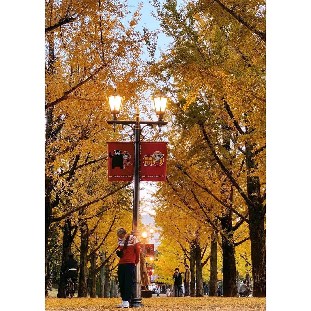 のインスタグラム：「キャンプ＝バイクで行く  だったのが最近は車でキャンプに行くことも多くなったからキャンプに行く服を探しておる  バイクでキャンプ行くときは必然的にバイクウェアのままなんだけど、車でキャンプならやっぱり棉100%とかの燃えにくいのが良いんだよね？？  みんなどこでキャンプ服買ってるの😭😭😭 . . #キャンプ服  -----------. #バイク . #バイクのある風景 . #バイク好きな人と繋がりたい . #バイク旅 . #キャンプ . #キャンプ飯 . #キャンプギア . #日本一周 . #モロケン . #morokengo  #オーストラリア留学 . #機車 . #motorcycle . #오토바이 . #motocicleta . #Motorrad . #語るなら未来を .」