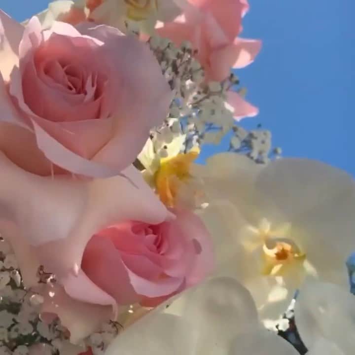 アリスマッコールのインスタグラム：「Blooms via @lex.flowers 🌸 #aliceMcCALL」