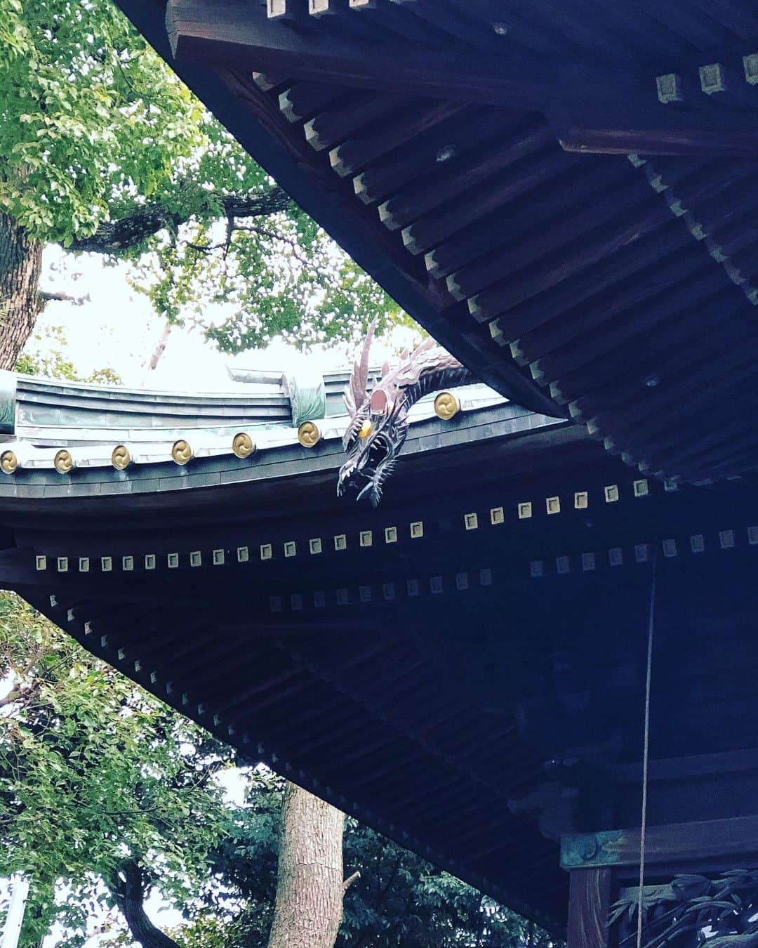 田上よしえのインスタグラム：「ようやく氏神様の所で初詣出来ました⛩ 龍神様かっけぇ🐉✨ #神社」