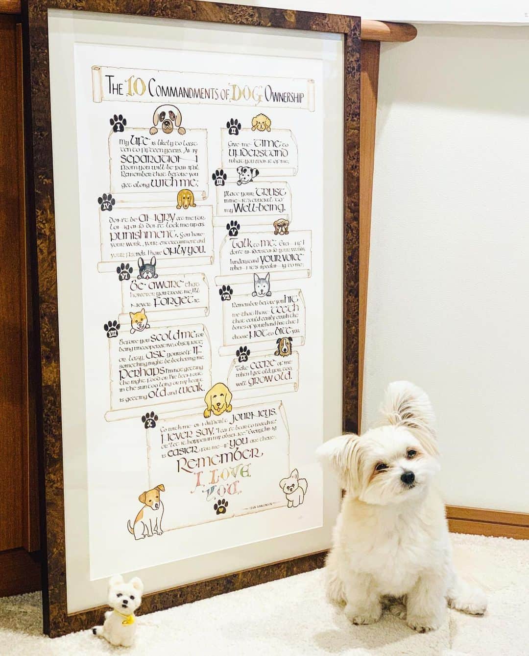 チャン・リーメイのインスタグラム：「母のカリグラフィの作品が自宅に届きました✨ ✴︎ これを機に、犬の十戒を改めて…💓 ✴︎ ✴︎ ✴︎✴︎犬の十戒（作者不明）✴︎✴︎ ✴︎ 🐶わたしの一生はだいたい10年から15年です。あなたと離れるのが一番つらいこと。どうか、わたしと暮らす前にそのことを覚えておいてください。 ✴︎ 🐶あなたがわたしに何を求めているのか、私がそれを理解するまで、待っていてください。 ✴︎ 🐶わたしを信頼してください。それがわたしにとってあなたと共に生活できる幸せなのですから。 ✴︎ 🐶わたしを長い間叱ったり、罰として閉じ込めたりしないでください。あなたには他にやる事があって、楽しみがあって、友達もいるかもしれない。でも、わたしにはあなたしかいないのです。 ✴︎ 🐶時々話しかけてください。言葉は分からなくても、あなたの心は十分私に届いています。 ✴︎ 🐶あなたがどのように私を扱ったか、私はそれを決して忘れません。 ✴︎ 🐶わたしを殴ったり、いじめたりする前に覚えておいてください。わたしは鋭い歯であなたを傷つけることができるにもかかわらず、あなたを傷つけないと決めているのです。 ✴︎ 🐶わたしが言うことを聞かないだとか、頑固だとか、怠けているからといって叱る前に、私が何かで苦しんでいないか気づいてください。もしかしたら、食事に問題があるかもしれないし、長い間日に照らされているかもしれない。それとも、もう体が老いて、弱ってきているのかもしれません。 ✴︎ 🐶わたしが年を取っても、わたしの世話はしてください。あなたもまた同じように年を取るのですから。 ✴︎ 🐶最後のその時まで一緒に側にいて欲しいのです。このようなことは言わないで下さい、｢もう見てはいられない。｣、｢居たたまれない。｣などと。あなたが側にいてくれるから最後の日も安らかに逝けるのですから。 ✴︎ 忘れないで下さい、わたしは生涯あなたを一番愛しているのです🌈✨ ✴︎ ✴︎ #犬の十戒いつも心に  #犬の十戒 #カリグラフィー #caligraphy」