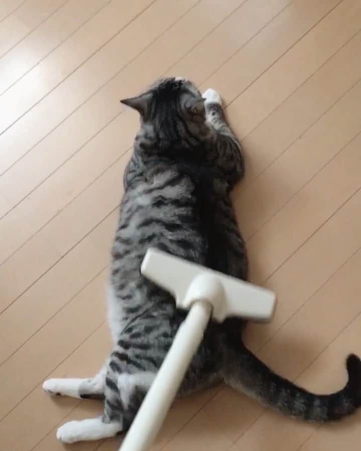 ?りっこ?のインスタグラム
