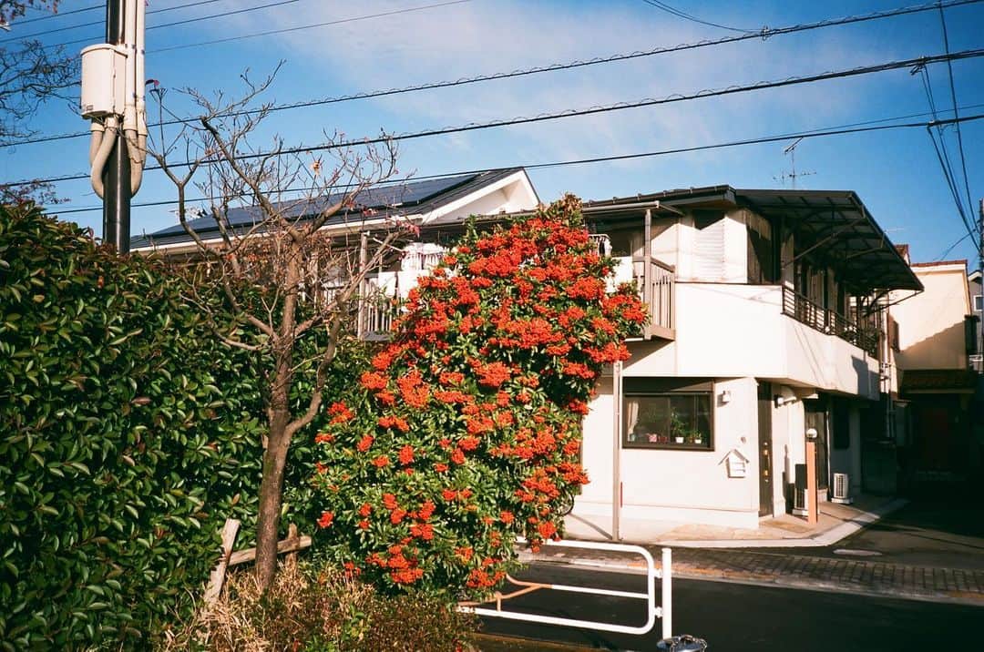 仁村紗和のインスタグラム：「🔴」