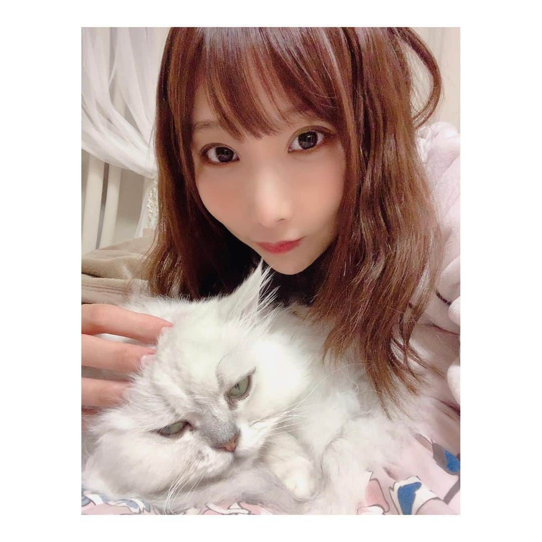 花咲来夢さんのインスタグラム写真 - (花咲来夢Instagram)「. TOKYO ACE CLINICでキララスーパー美容点滴してきました💉  キララスーパー美容点滴はビタミンCと美白効果がある白玉点滴を合わせたスペシャルな点滴😍👏 ビタミンCはシミ、くすみ、ニキビなど肌トラブルやシワ、たるみなど様々なお肌の悩みに効果的❣️ 持続することで免疫力、新陳代謝も高めてくれるから内側から健康的で美しくなれるとっても優れた点滴♡  白玉点滴は強力な美白効果と美肌作用効果があり、更に強力なデトックス効果でシミ予防や、肝斑、疲労回復効果などもあります♡  身体の内側から美容と健康をサポートできるしオススメ😊👌  （続けてるとシャルちゃんみたいな美白になれそう😍✨）」1月15日 17時27分 - raimu_charlotte